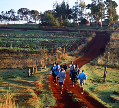 Kikuyu