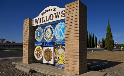 Willows