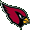 Arizona Cardinals