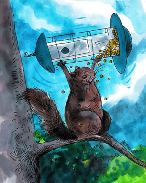 Squirrels Proof