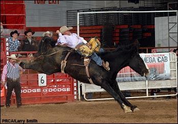 2006 Dodge National Circuit Finals Rodeo<br>Action Gallery (Vol. 3)
