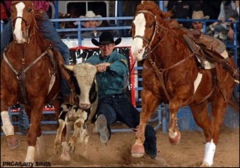 2006 Dodge National Circuit Finals Rodeo<br>Action Gallery (Vol. 3)