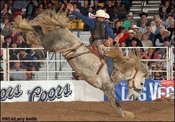 2006 Dodge National Circuit Finals Rodeo<br>Action Gallery (Vol. 3)