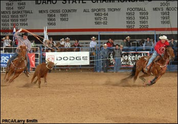 2006 Dodge National Circuit Finals Rodeo<br>Action Gallery (Vol. 4)