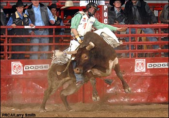 2006 Dodge National Circuit Finals Rodeo<br>Action Gallery (Vol. 4)