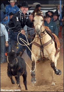 2006 Dodge National Circuit Finals Rodeo<br>Action Gallery (Vol. 3)