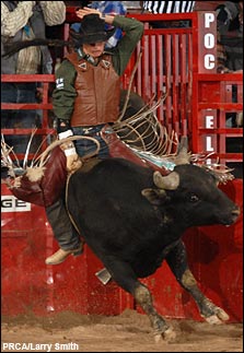 2006 Dodge National Circuit Finals Rodeo<br>Action Gallery (Vol. 3)