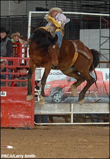 2006 Dodge National Circuit Finals Rodeo<br>Action Gallery (Vol. 4)