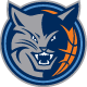 http://assets.espn.go.com/i/teamlogos/nba/med/trans/cha.gif