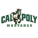 POLY Clubhouse