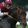Bernardini