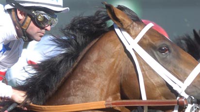Big Brown and jockey Kent Desormeaux will go off at odds of 1-2.