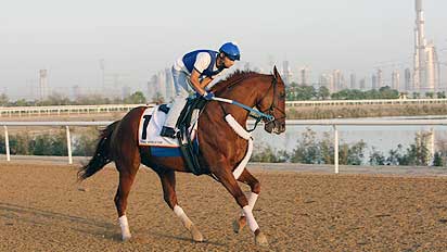 Curlin