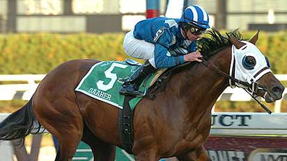 Daaher, with Mike Luzzi aboard, wins the Cigar Mile Handicap at Aqueduct on Saturday.