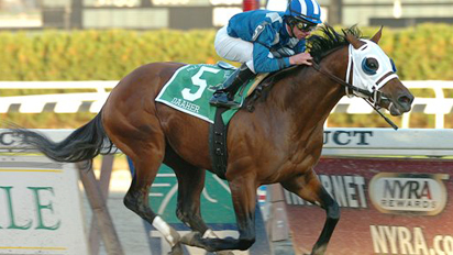 Daaher, with Mike Luzzi aboard, wins the Grade 1 Cigar Mile over 2007 Breeders' Cup Sprint champion Midnight Lute at Aqueduct in November.