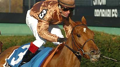 Dalvina wins the Grade 3 Long Island Handicap this year at Aqueduct.