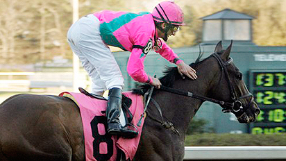 Denis of Cork, with Robby Albarado aboard, wins the Southwest Stakes for 3-year-olds at Oaklawn Park.