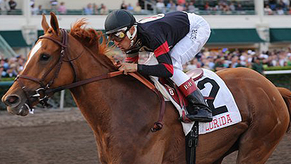 Ginger Punch captures the $500,000 Sunshine Millions Distaff at Gulfstream Park on Saturday. The Distaff was one of eight races pitting Florida-breds against California-breds at Gulfstream and Santa Anita.