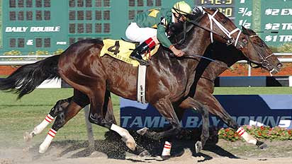 Street Sense edges Any Given Saturday in the Tampa Bay Derby in March.