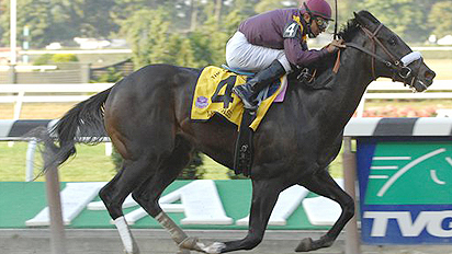 War Pass wins the Grade 1 Champagne Stakes at Belmont Park as a 2-year-old. The Nick Zito pupil went on to win the 2007 Breeders' Cup Juvenile and is now prepared to make his 2008 debut at Gulfstream Park on Sunday.