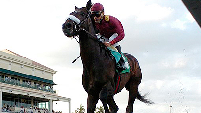 War Pass wins the 10th race at Gulfstream Park on Sunday.