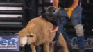 play video on ESPN