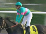 Zenyatta Wins Breeders' Cup Classic