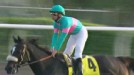Zenyatta Wins Breeders' Cup Classic
