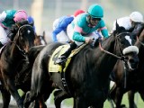 Breeders' Cup Classic Breakdown