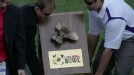 play video on ESPN
