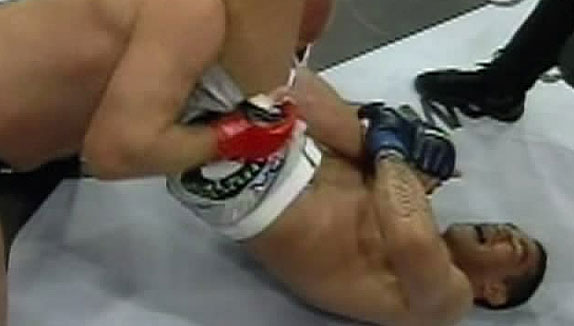 xWERDUM62610.jpg