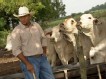 Carlos Lee On Slugger Ranch