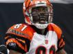T.O. Will Be Ready