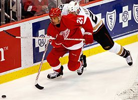nhl_g_chelios_275.jpg