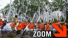 Toomer's Corner