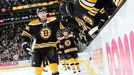 Boston Bruins