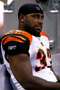 Rudi Johnson