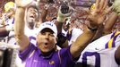 Les Miles