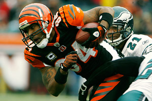 TJ Houshmandzadeh