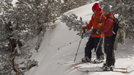 http://espn.go.com/action/snowboarding/news/story?id=4701386