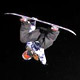 ESPN Snowboarding