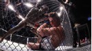 Jon Jones and Chael Sonnen