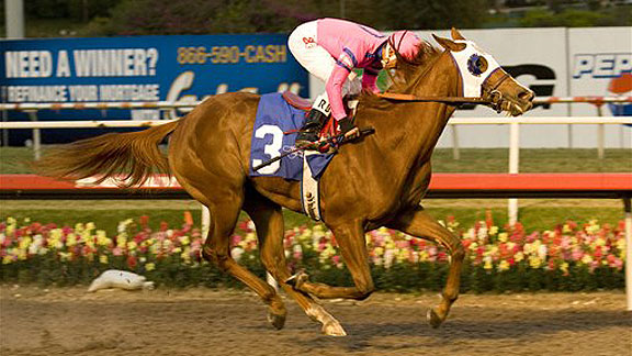 Blind Luck Devil May Care in Alabama Stakes at Saratoga horse racing