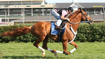 Curlin
