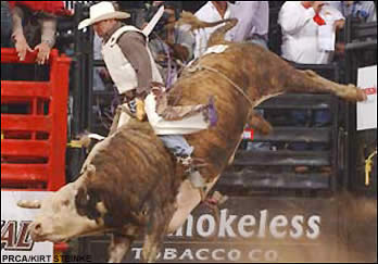 Pace Picante ProRodeo Tour Finale