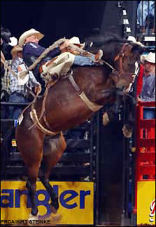 Pace Picante ProRodeo Tour Finale