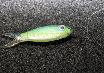 BASS Insider