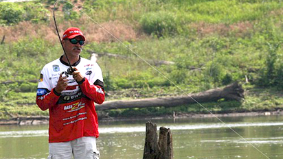 BASS Insider