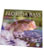 Wildlife Foundation of Florida