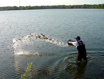 BASS Conservation
